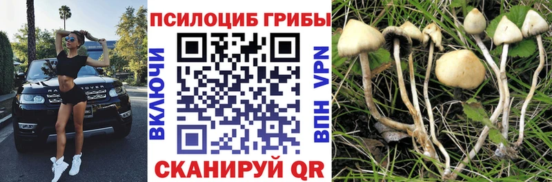 Псилоцибиновые грибы Magic Shrooms  mega онион  Усть-Кут 